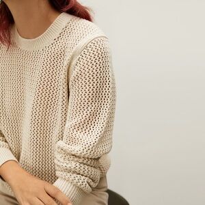 Everlane The mesh cotton crew